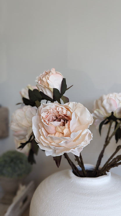 Blush Peony Stem