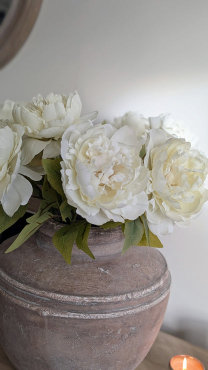White Peony Stem