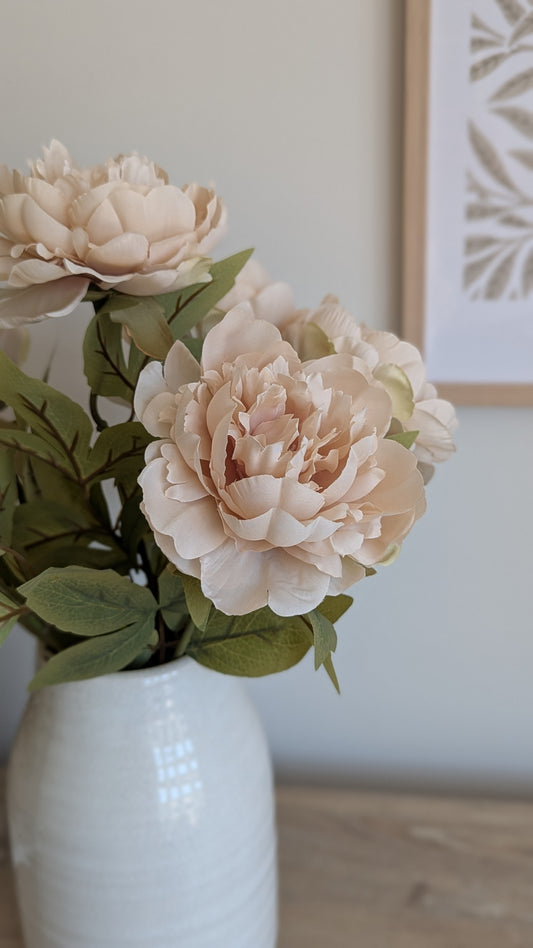 Dusk Peony