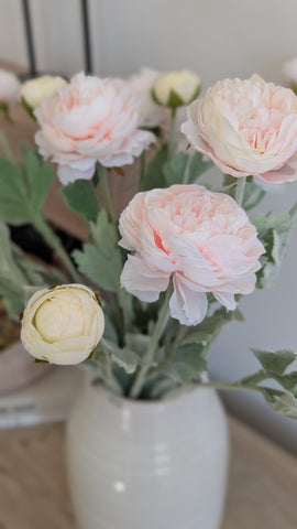 Pastel Pink Ranunculus Stem