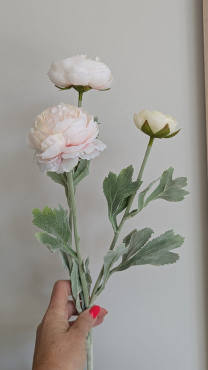 Pastel Pink Ranunculus Stem