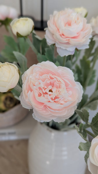Pastel Pink Ranunculus Stem
