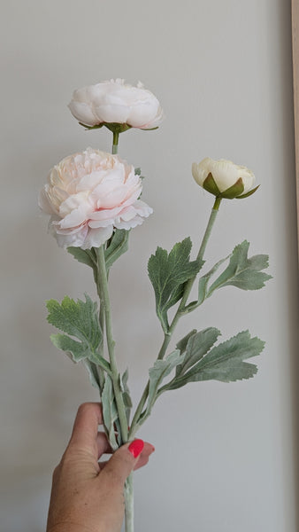 Pastel Pink Ranunculus Stem