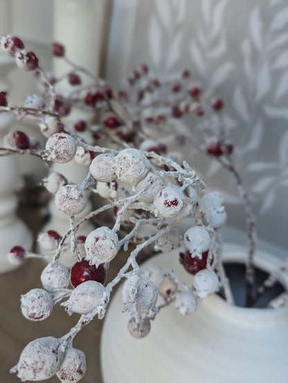 Snowy Berry Branch