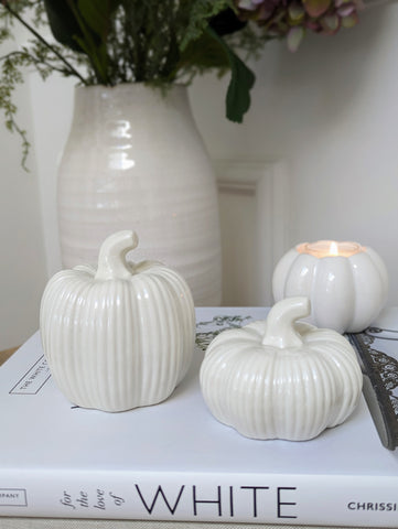 Ceramic Ribbed Pumpkins