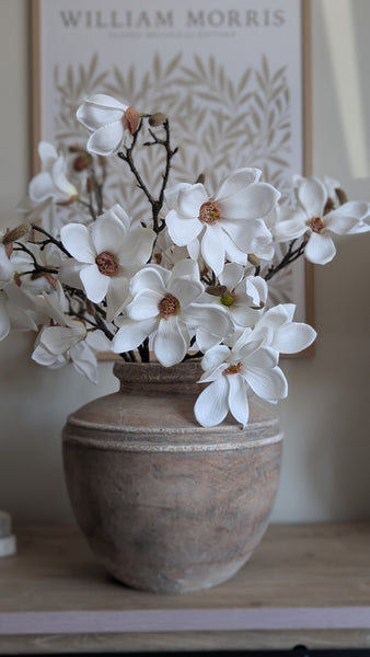 Magnolia Stem