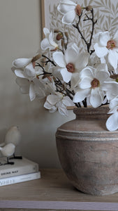 Magnolia Stem