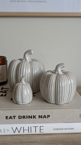 Rustic Ribbed Pumpkins