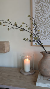 Sedum Branch