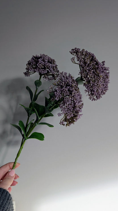 Purple Sedum Spray