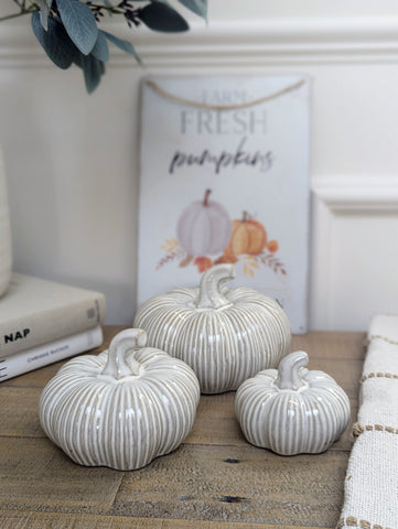 Rustic Ribbed Pumpkins