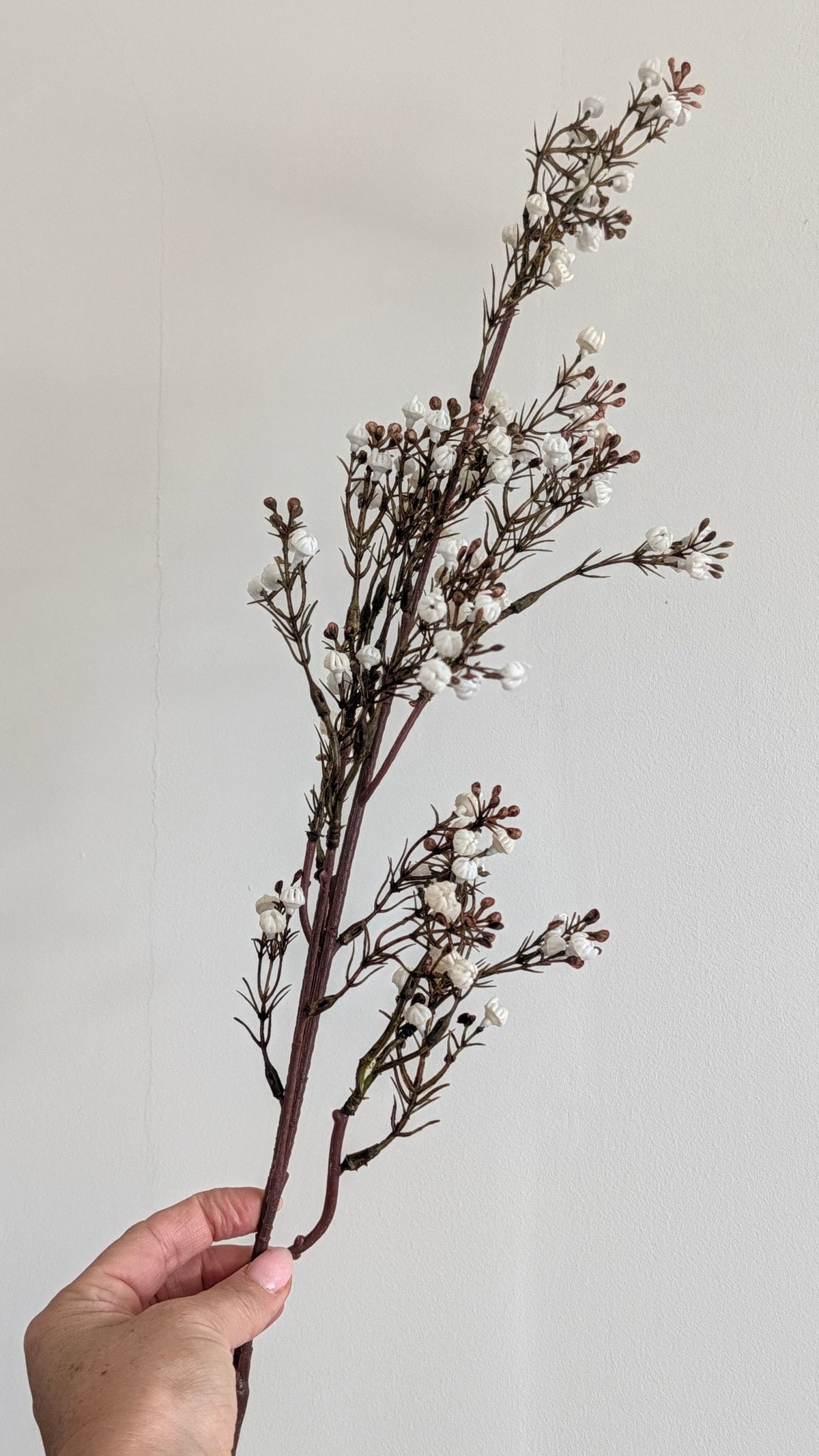 Autumn Gypsophilia Spray