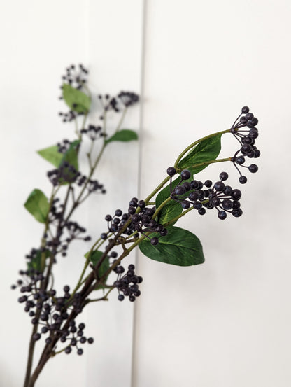 Viburnum Berry Stem