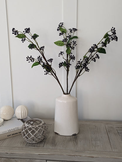 Viburnum Berry Stem