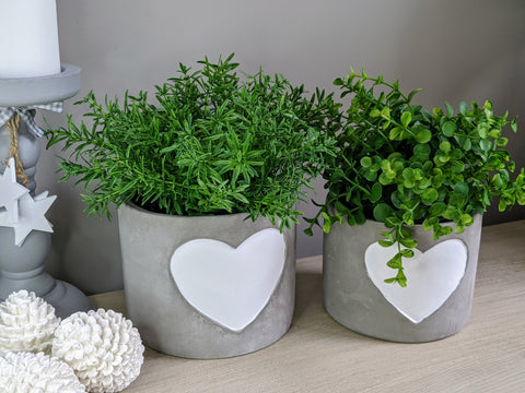 Heart Cement Pots