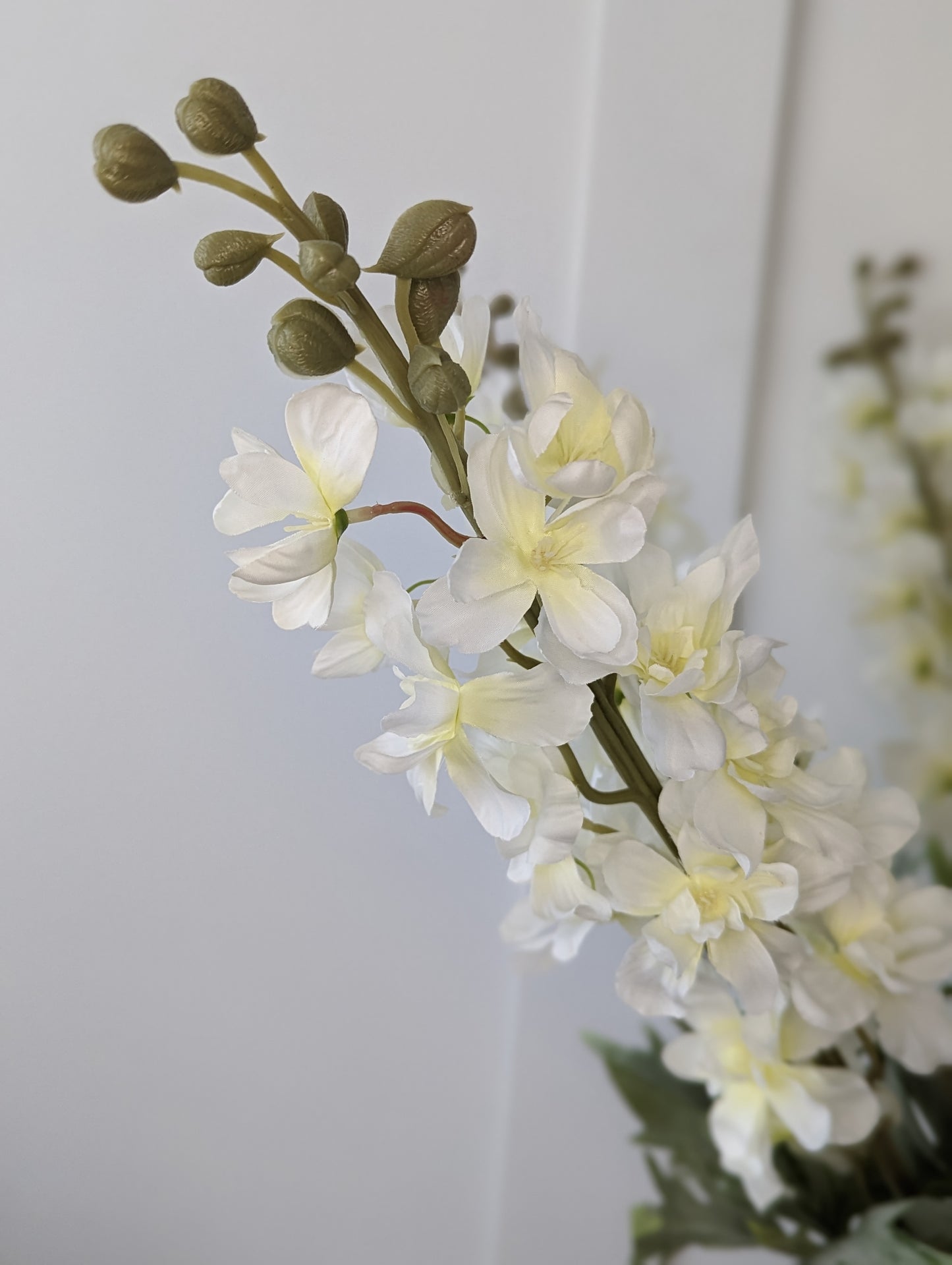 White Delphinium Stem