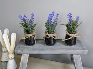 Glass Potted Lavender