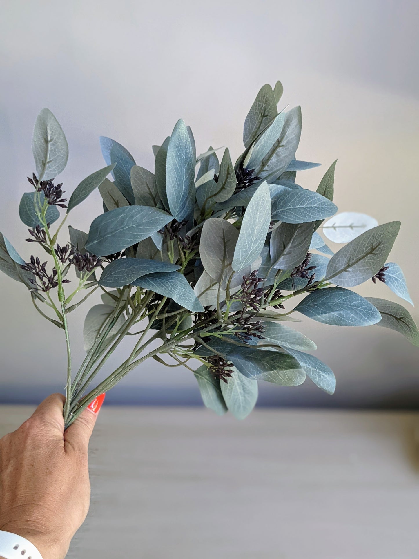 Seeded Eucalyptus Stem
