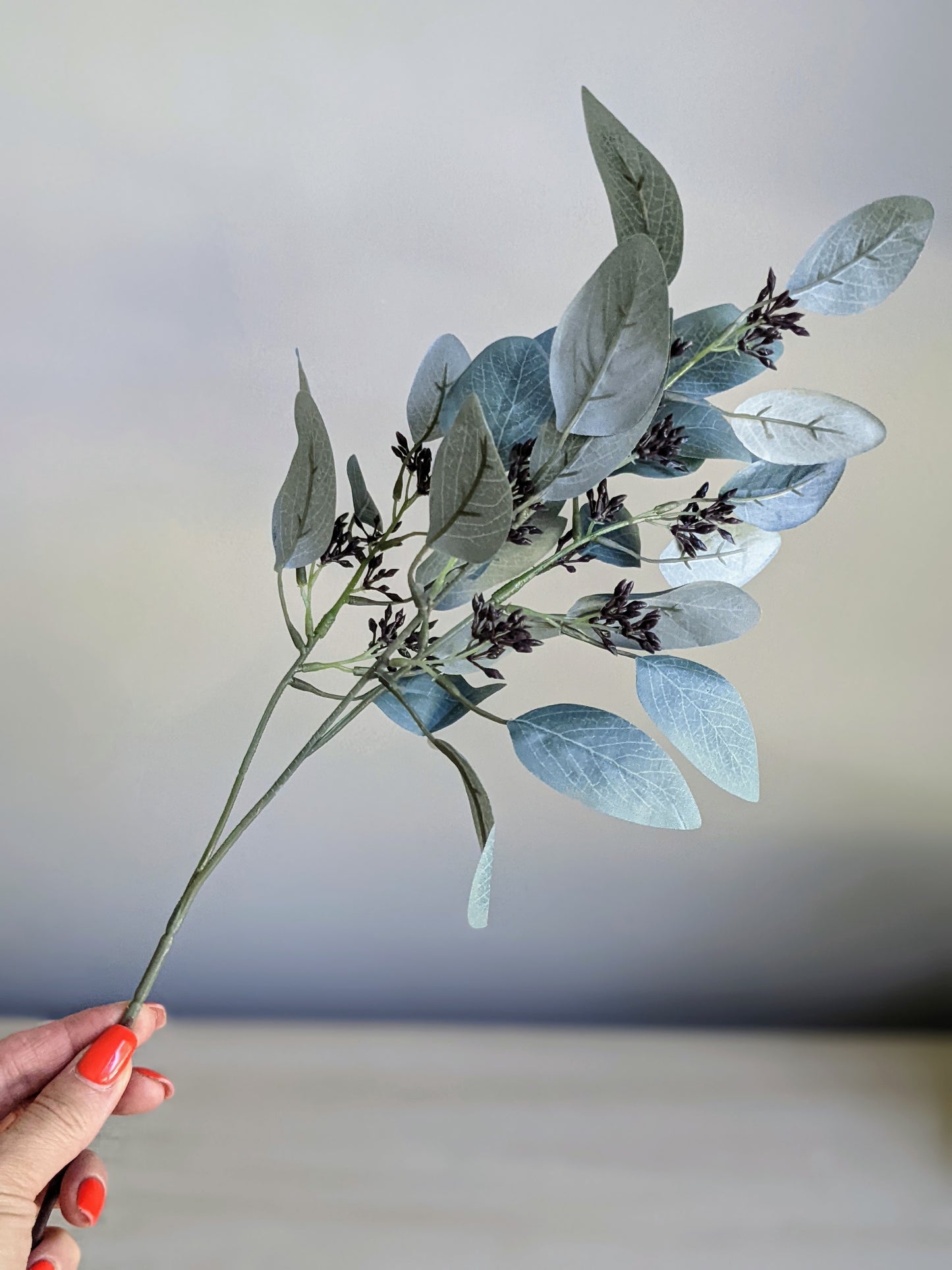Seeded Eucalyptus Stem