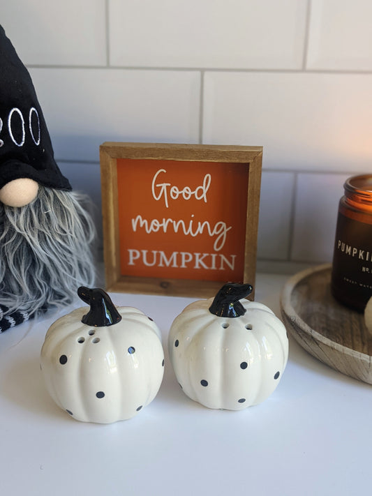 Mono Spot Pumpkin Salt and Pepper Pots