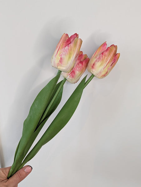 Bunch of 3 Tulips
