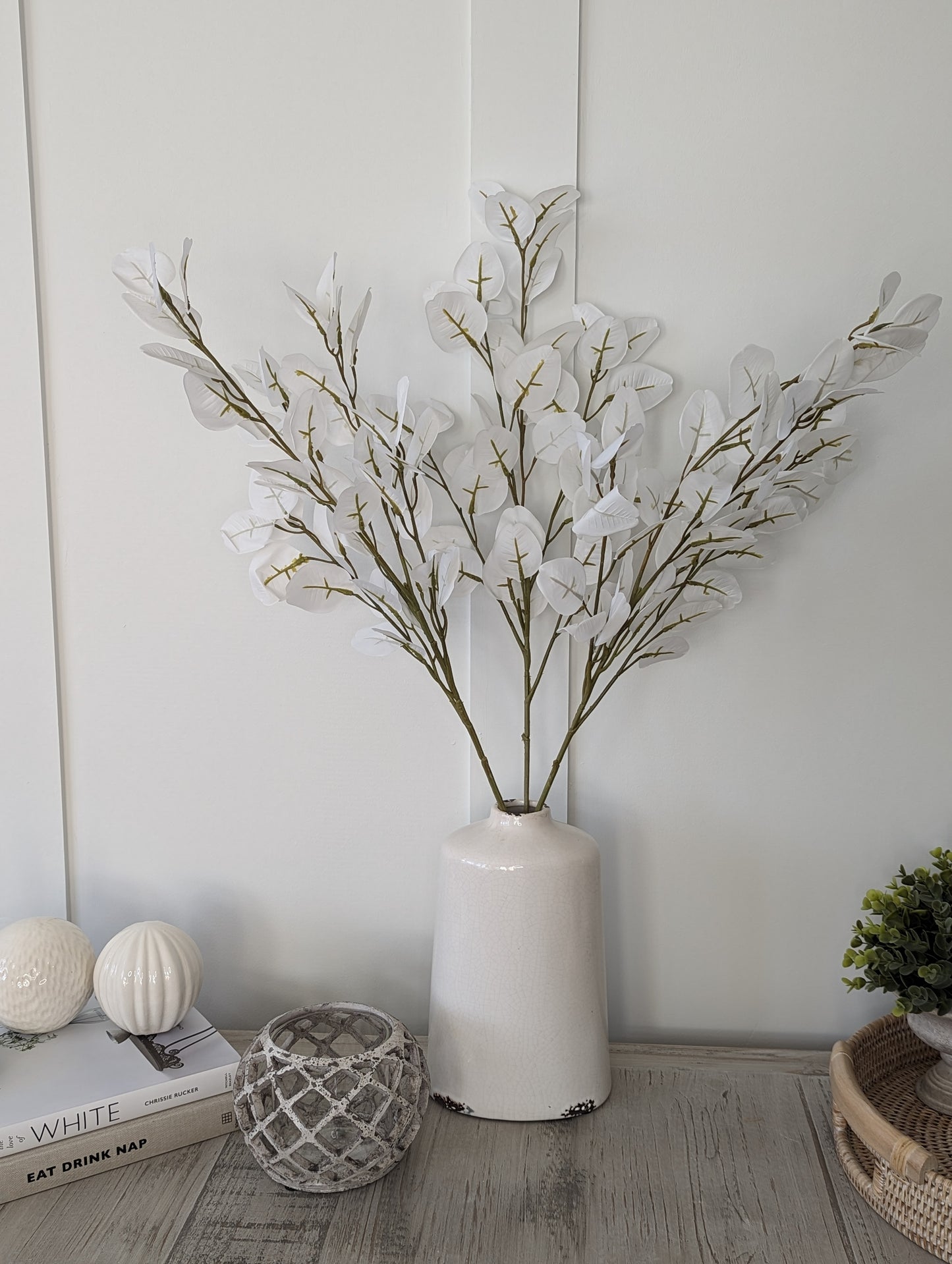 Large White Eucalyptus Stem