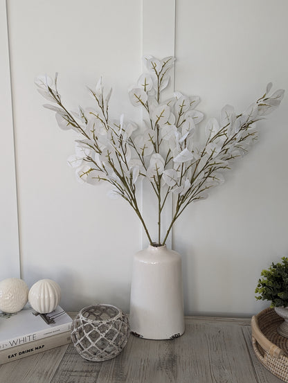 Large White Eucalyptus Stem