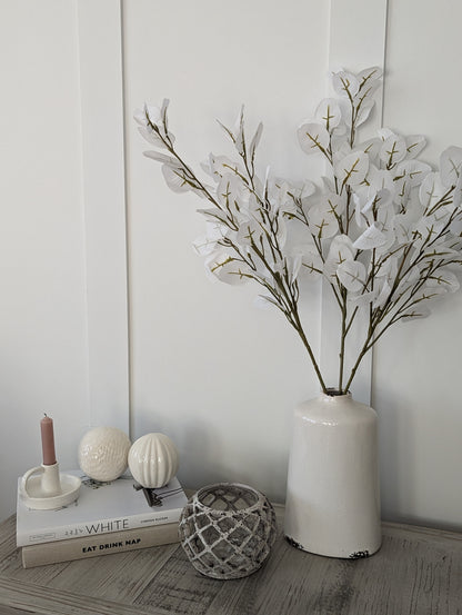 Large White Eucalyptus Stem