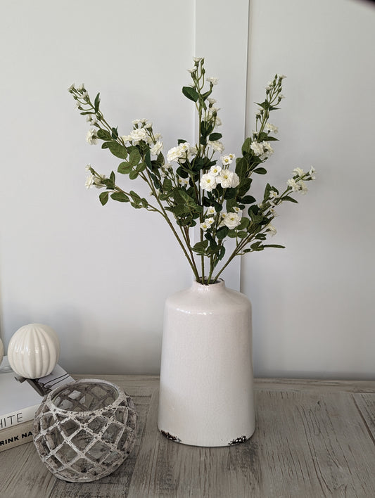 White Meadow Rose Stem